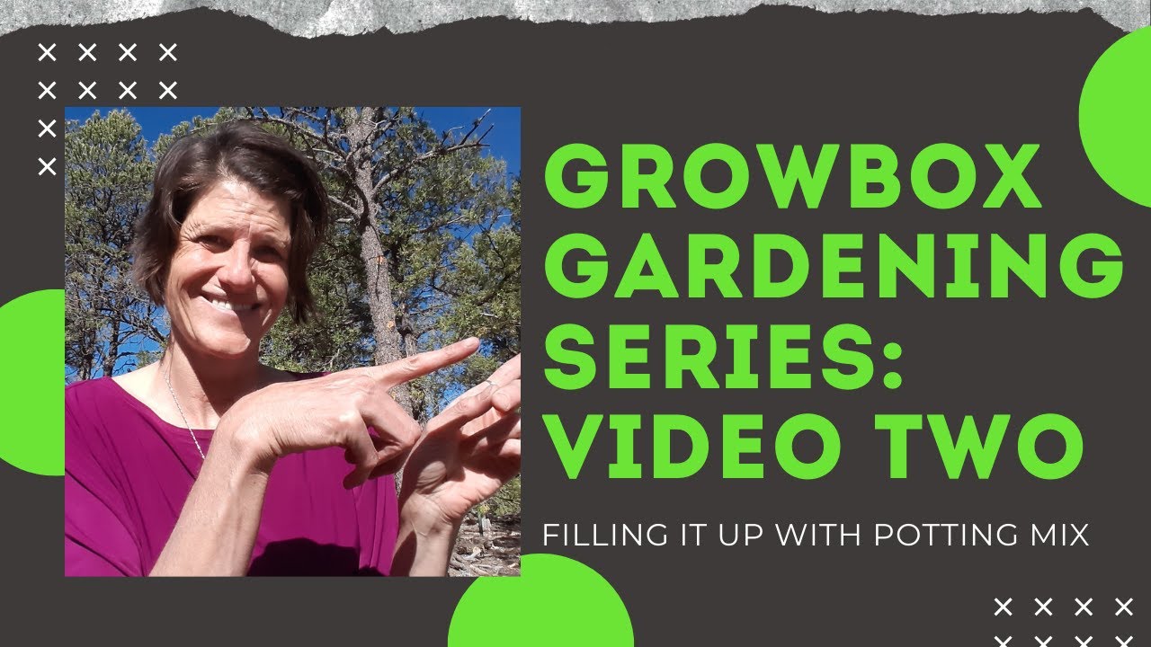 Garden Patch Grow Box Instructions Beginner Gardner Sets Up The Grow