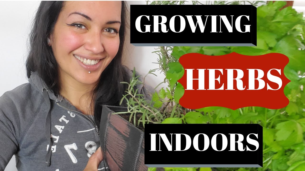 GROW HERBS INDOORS INDOOR HERB GARDEN HOW TO GUIDE - Prepared Gardener